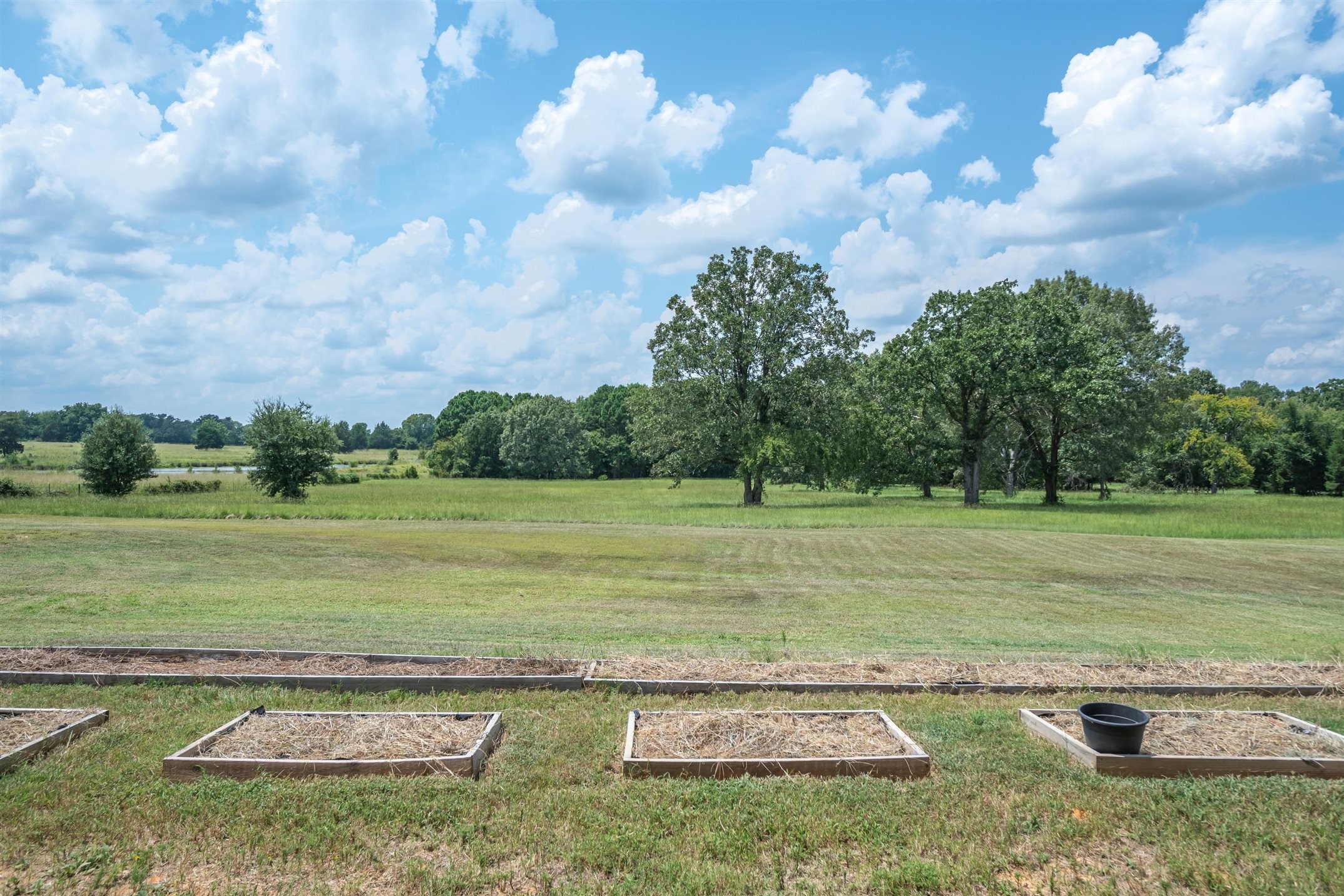 1461 Vz County Road 4607 Ben Wheeler TX 75754