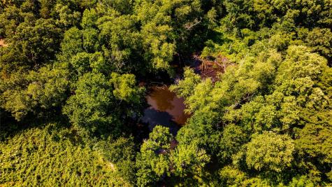 1710 An County Road 463 Montalba TX 75853