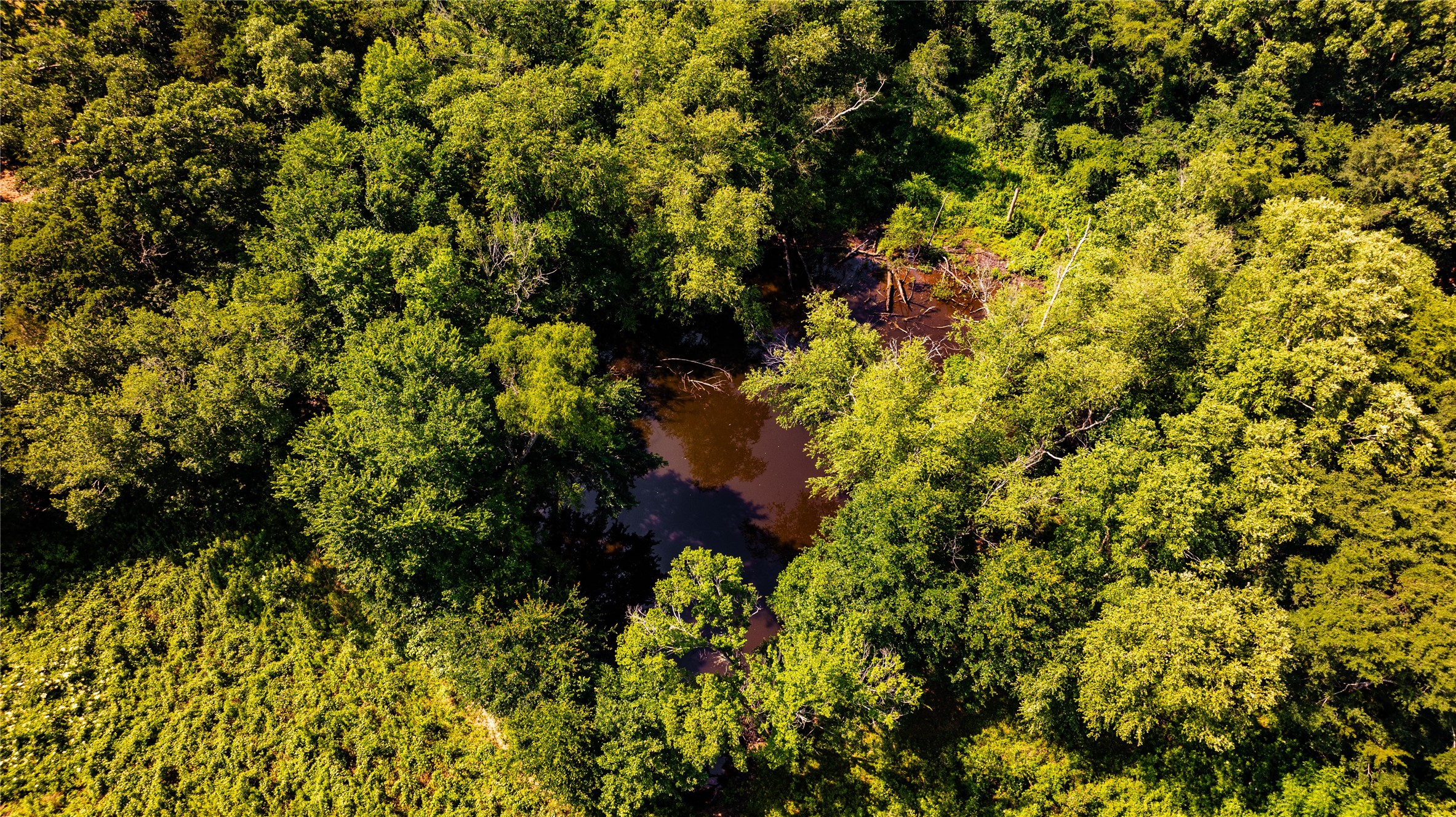 1710 An County Road 463 Montalba TX 75853
