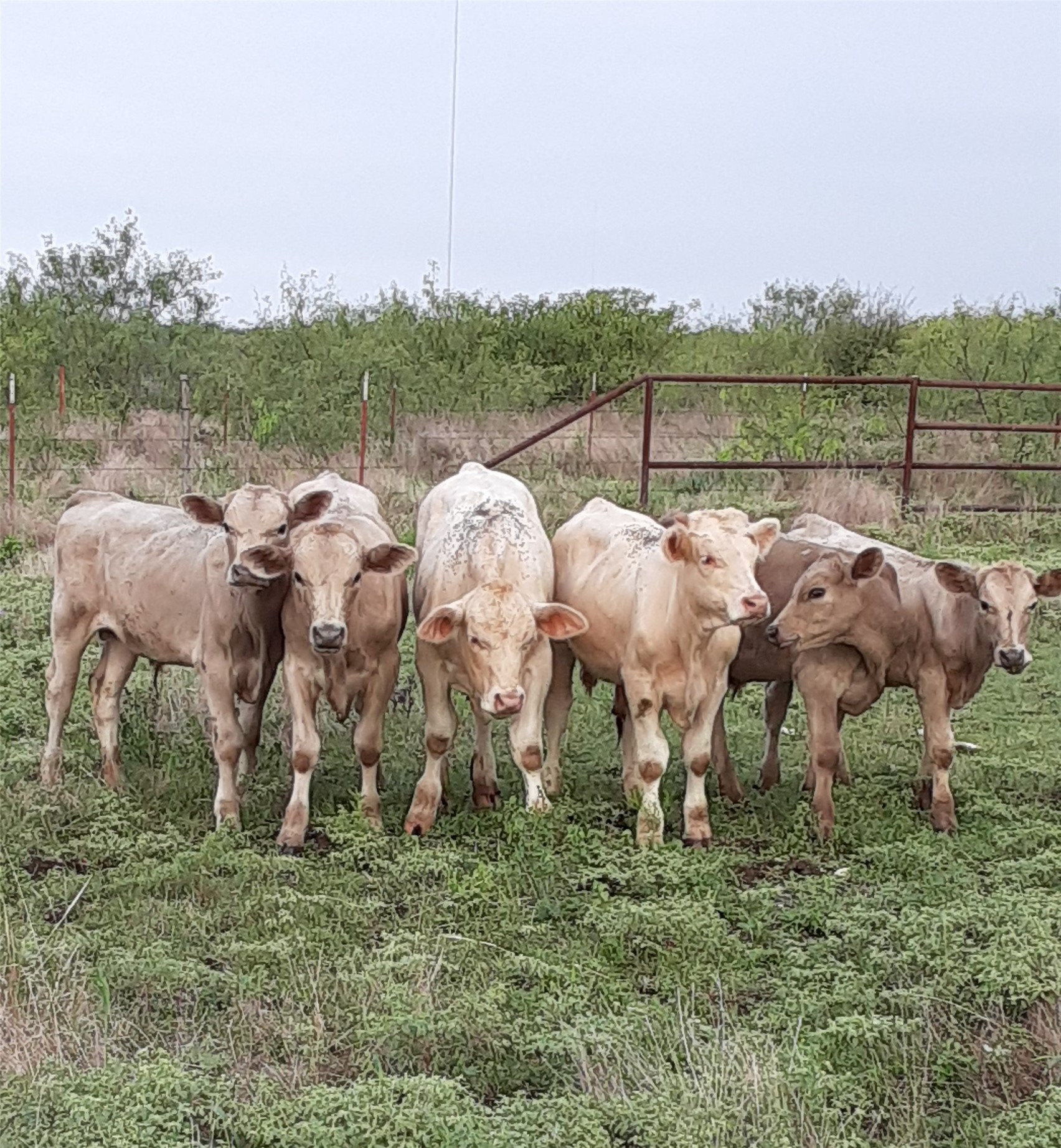 2276 Hodge Moody TX 76557