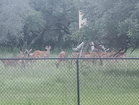 400 Indian Hills Road Gatesville TX 76528