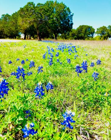 400 Indian Hills Road Gatesville TX 76528