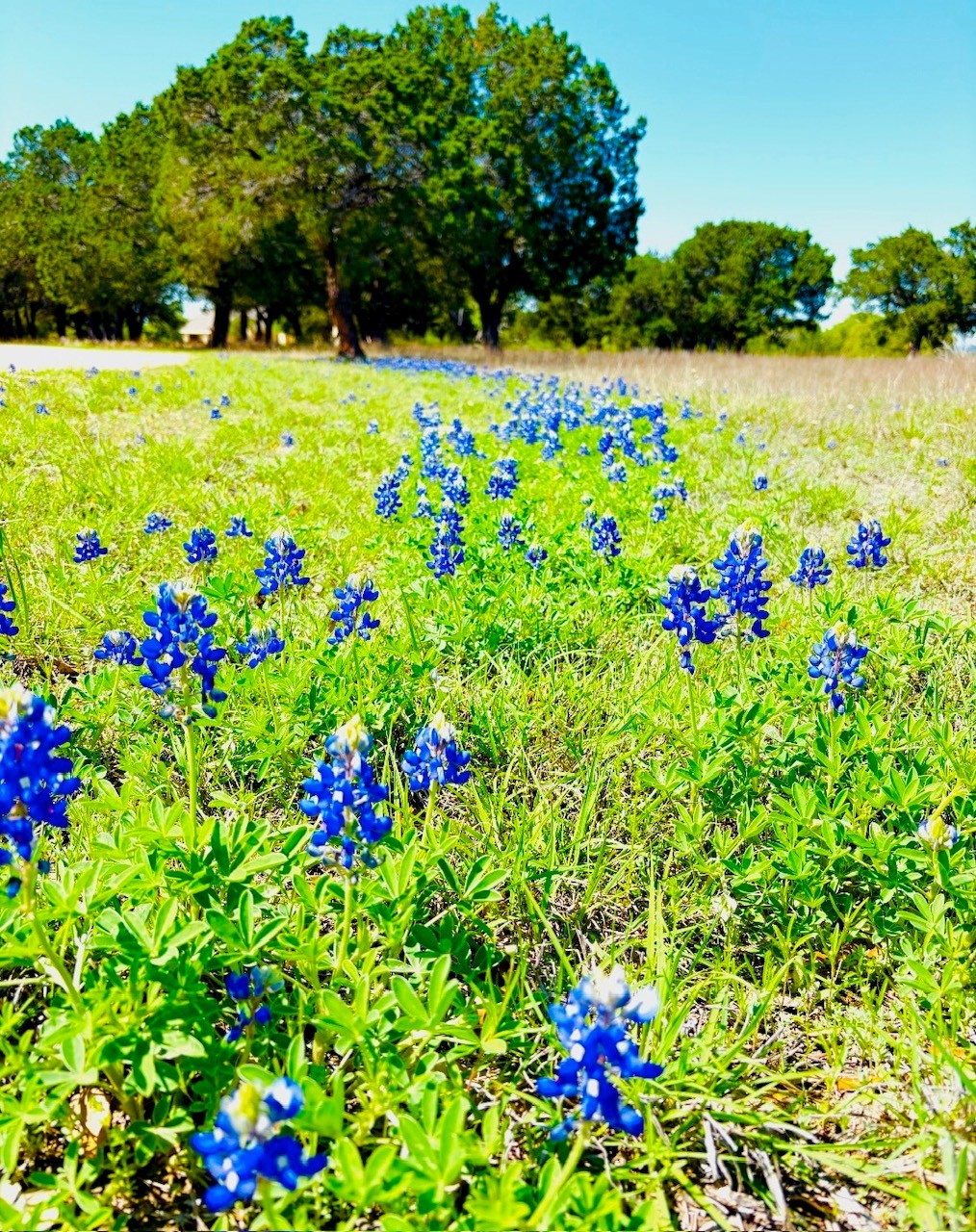 400 Indian Hills Road Gatesville TX 76528