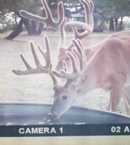 400 Indian Hills Road Gatesville TX 76528