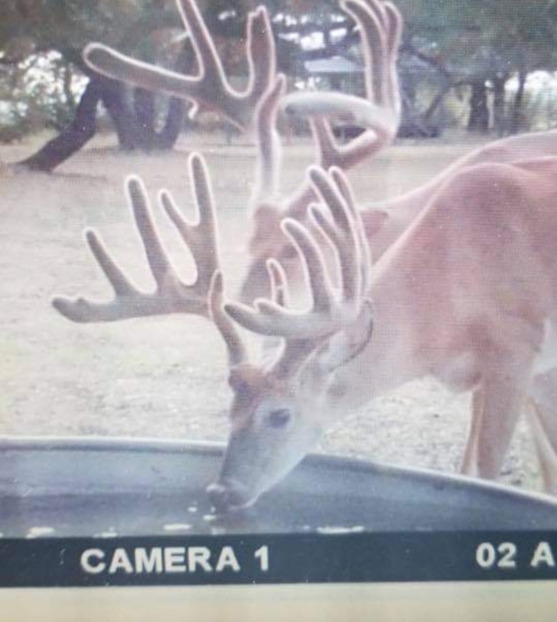 400 Indian Hills Road Gatesville TX 76528