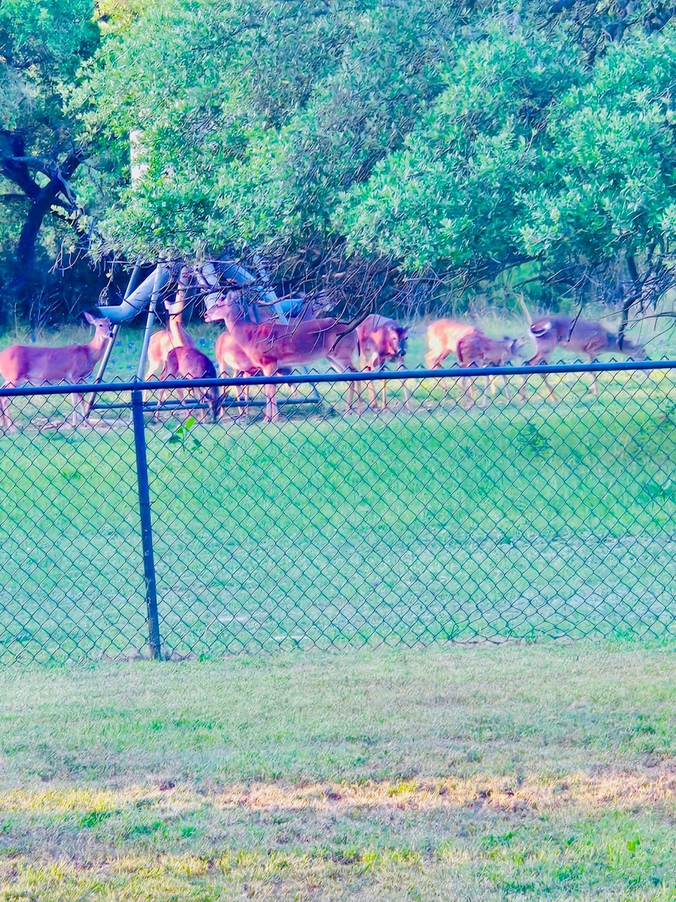 400 Indian Hills Road Gatesville TX 76528