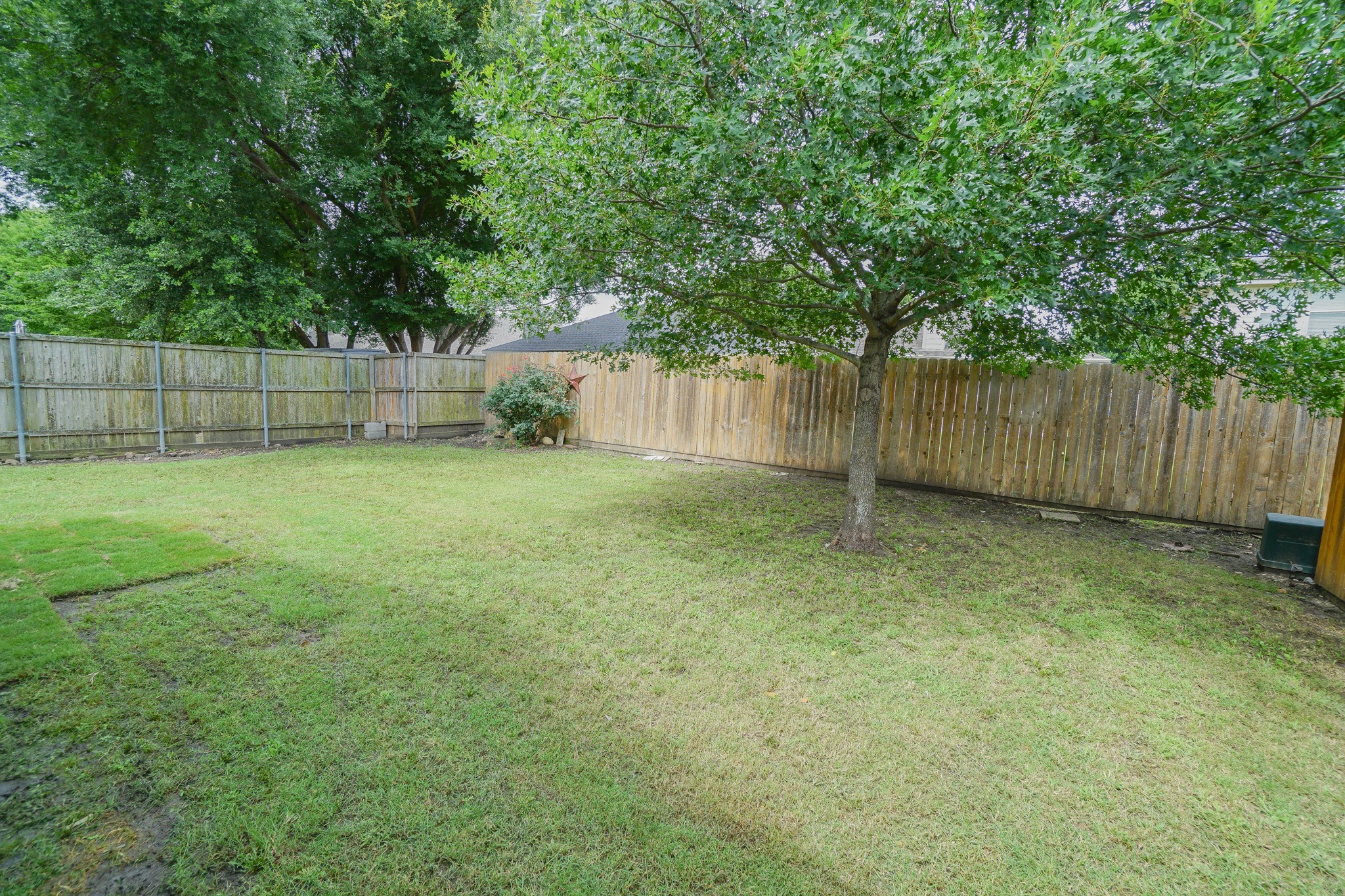 203 Grassy Creek Drive Wylie TX 75098