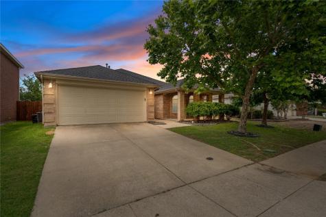 9933 Carter Drive Mckinney TX 75072