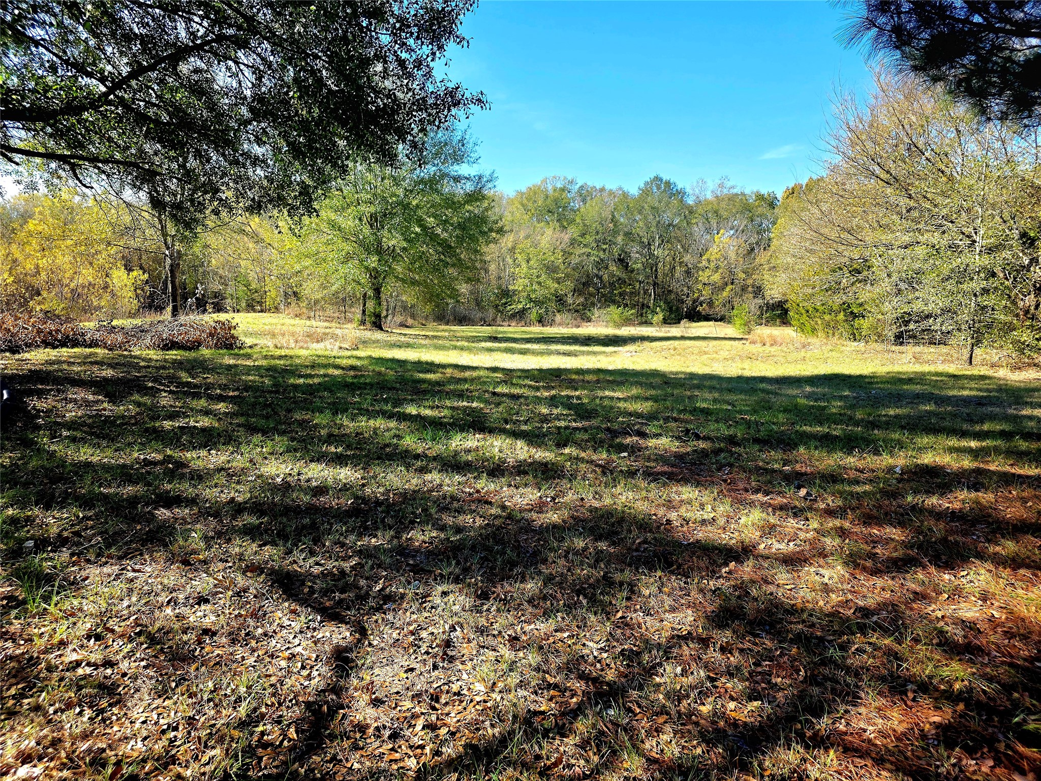 12776 Valverde Loop Terrell TX 75161