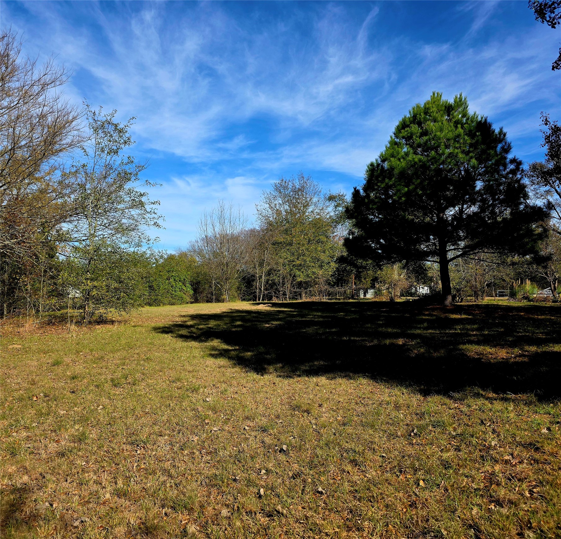 12776 Valverde Loop Terrell TX 75161