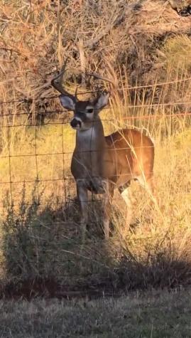 1596 County Road 510 Stephenville TX 76401