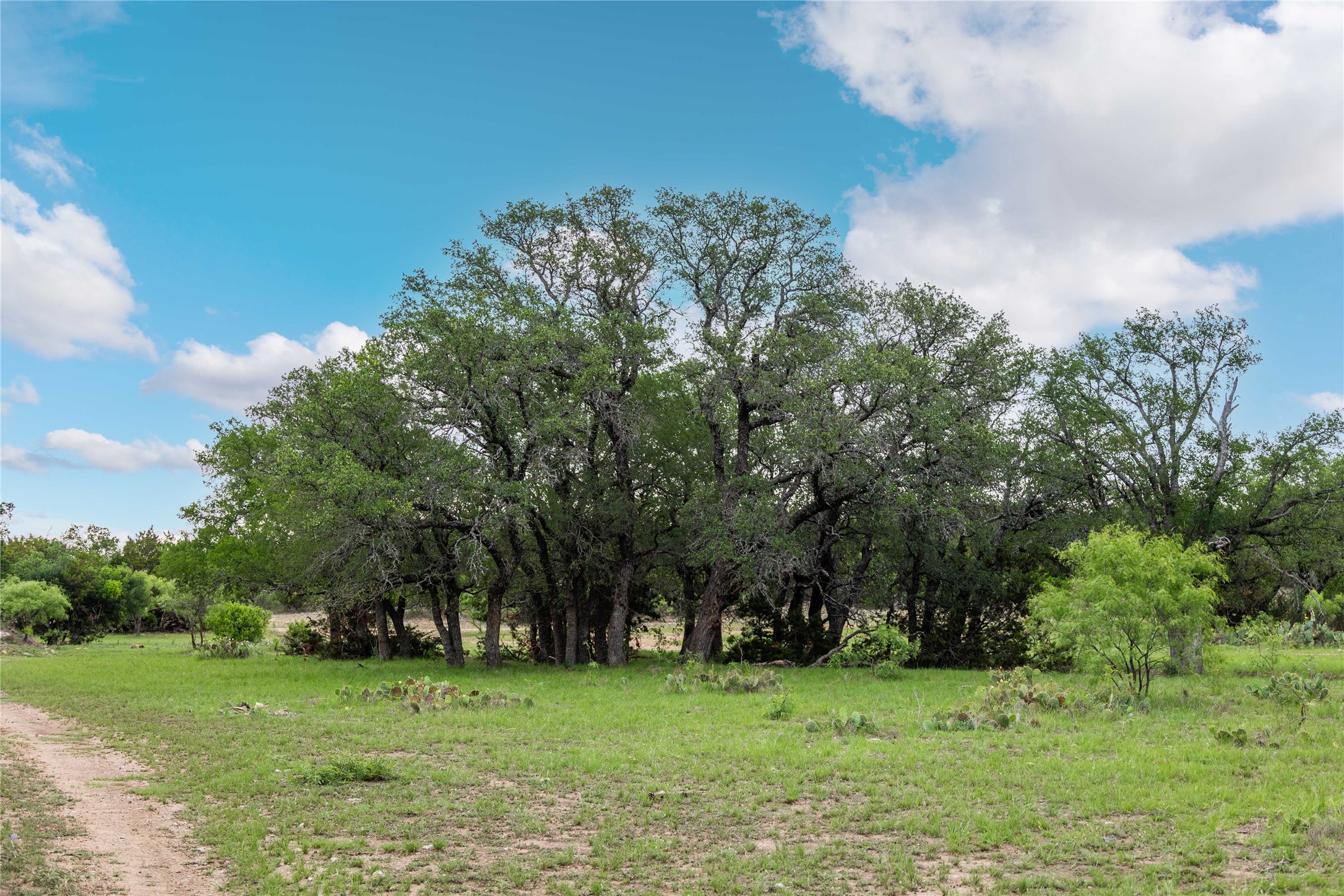 12601 Fm 586 Brookesmith TX 76827