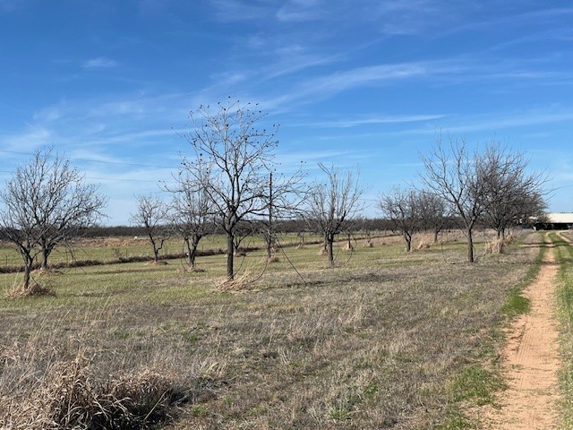 9776 County Road 258 Clyde TX 79510