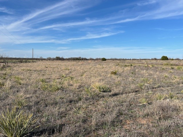 9776 County Road 258 Clyde TX 79510