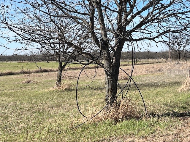9776 County Road 258 Clyde TX 79510