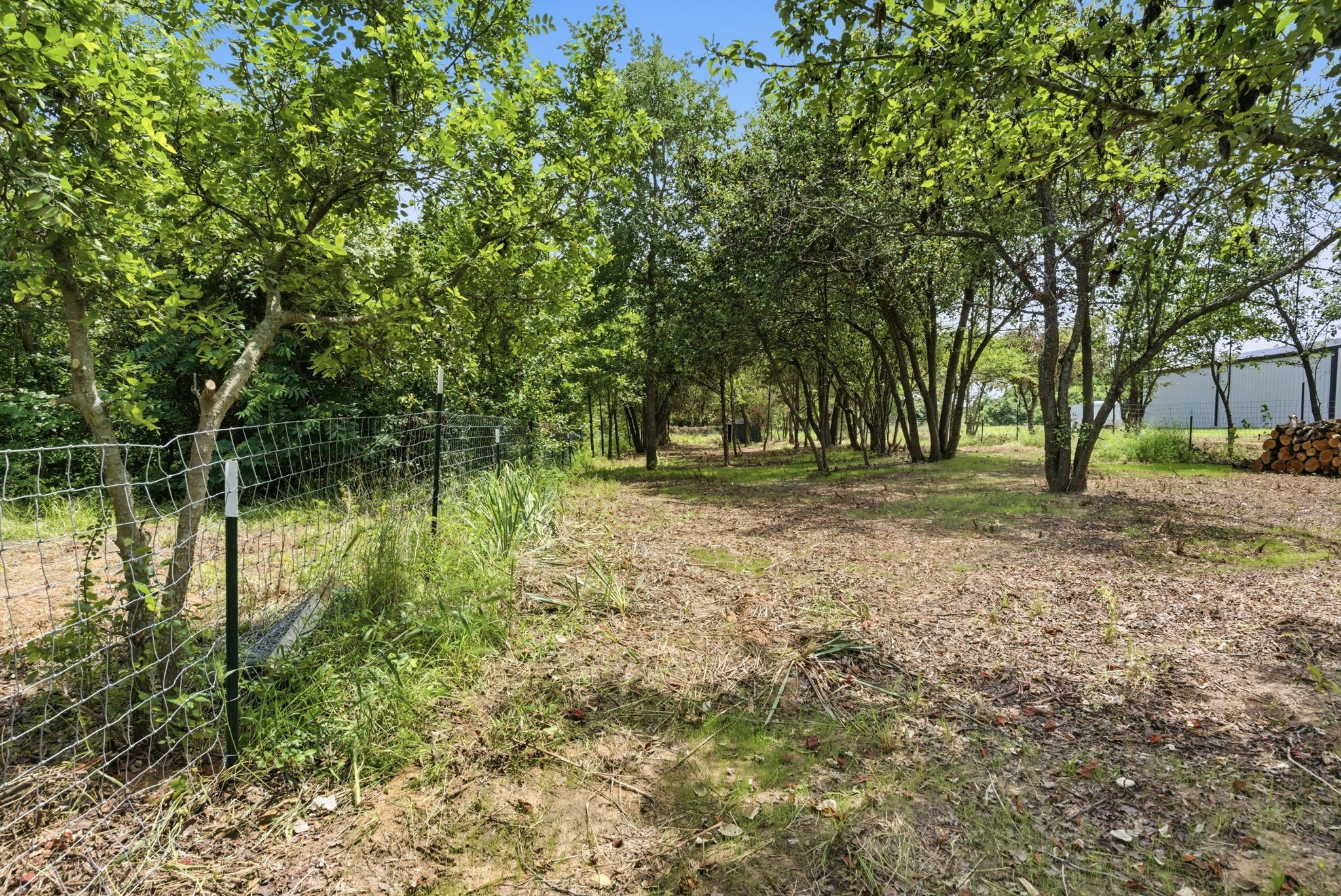 113 Cooper Court Springtown TX 76082