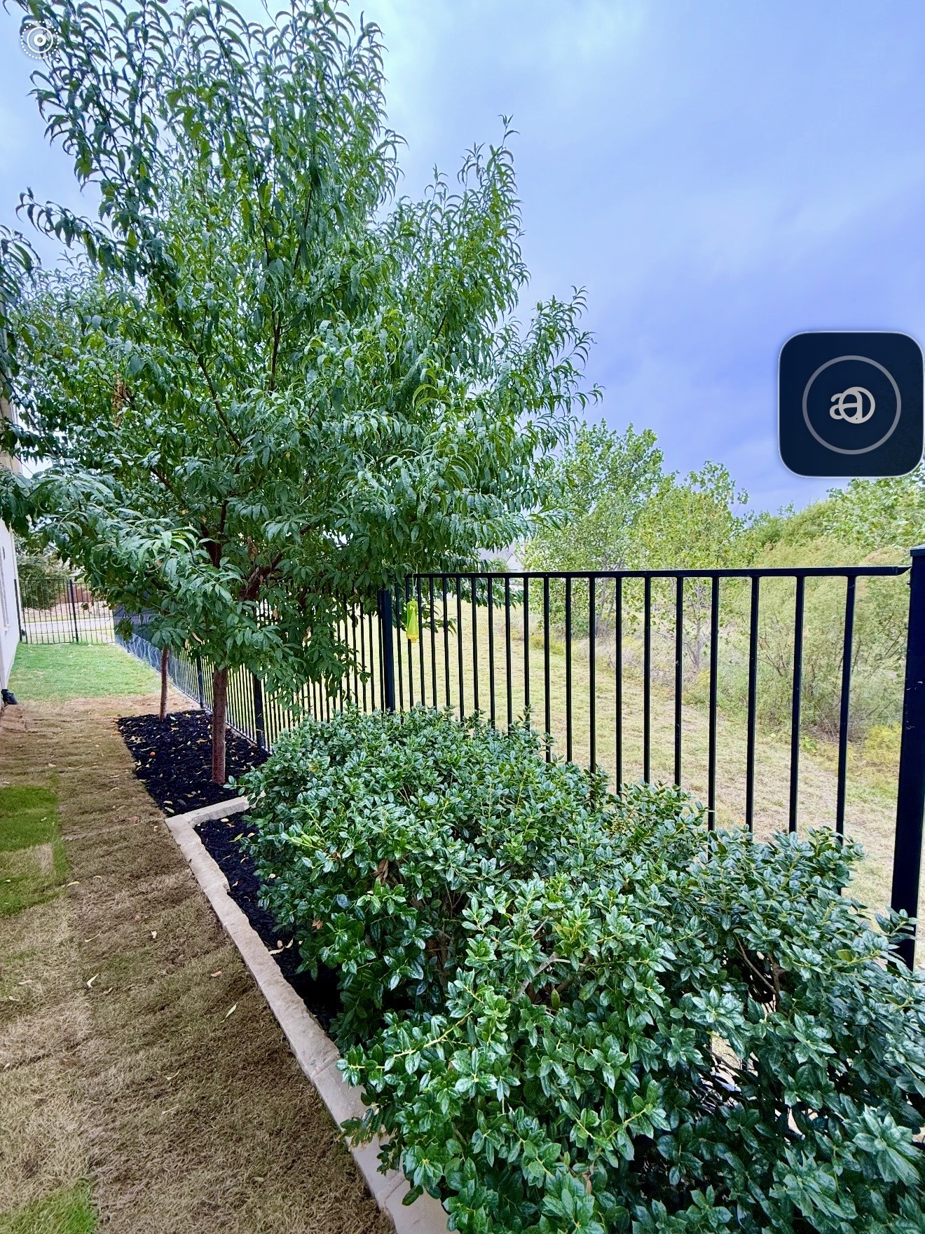 1071 Cabinside Drive Roanoke TX 76262