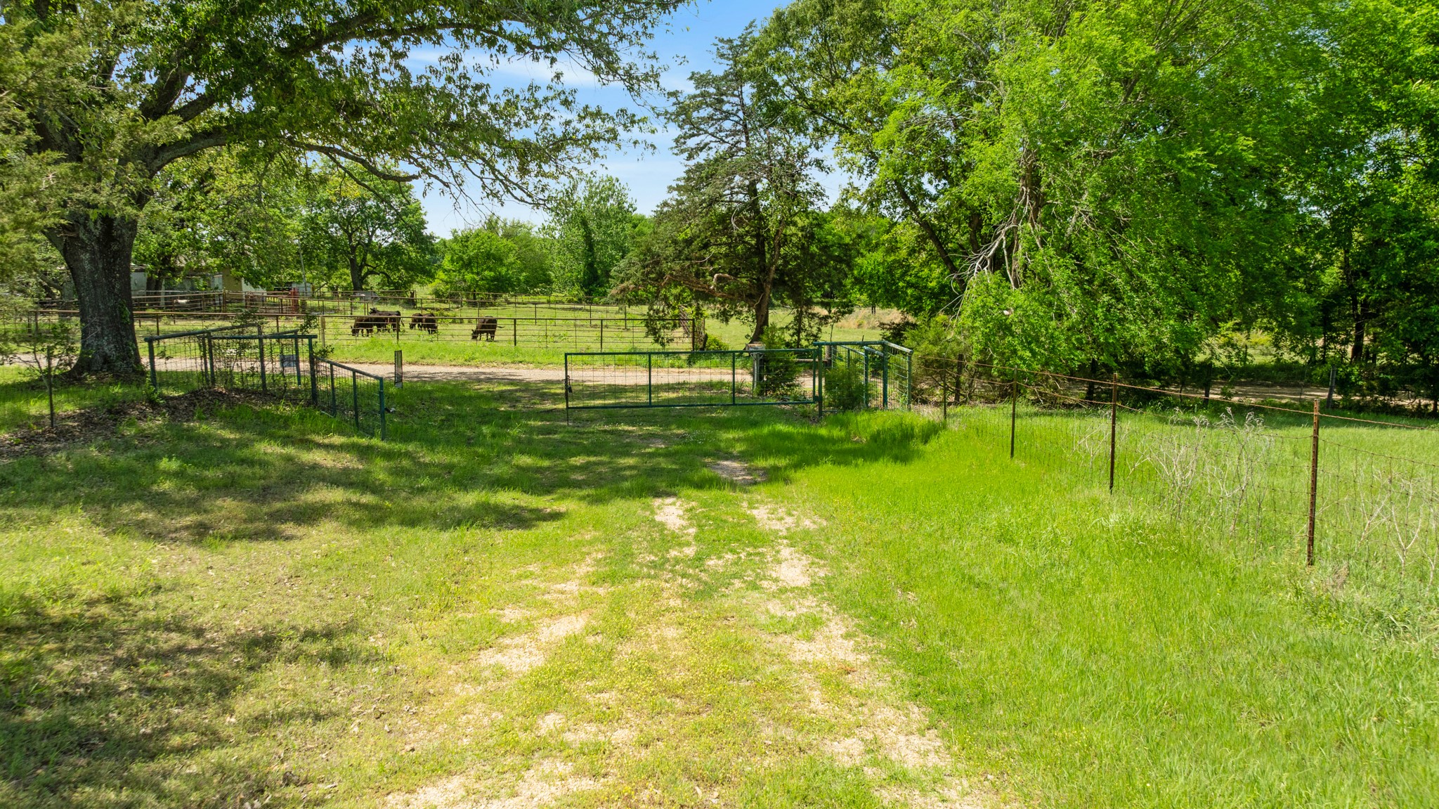 2000 County Road 2420 Honey Grove TX 75446