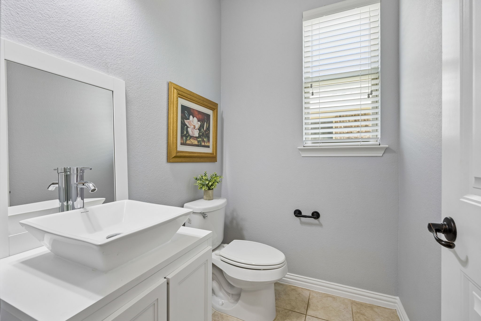 908 Mist Flower Drive Little Elm TX 75068
