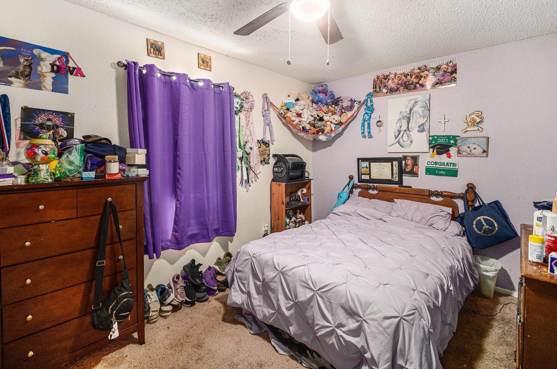117 Walnut Creek Drive Azle TX 76020