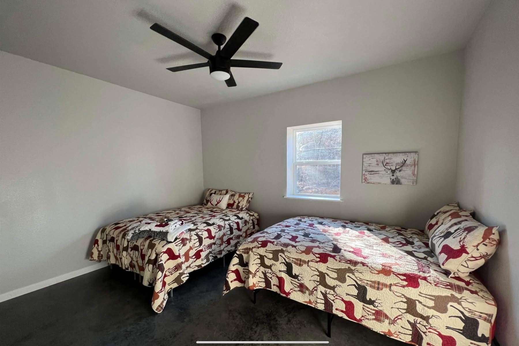 2409 County Road 2303 Lone Star TX 75668