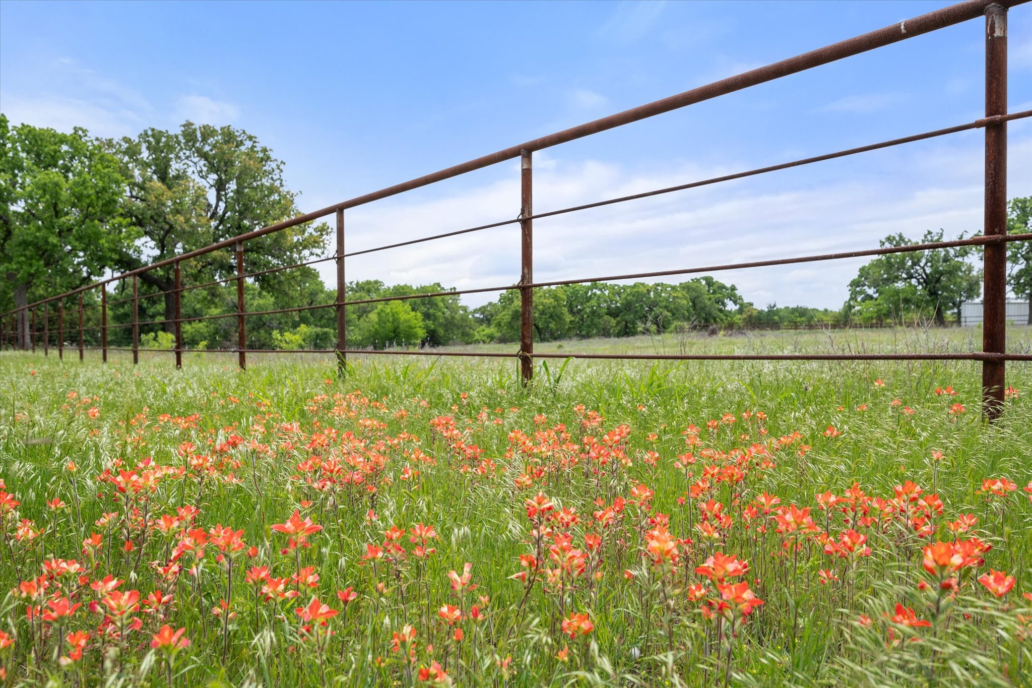 1134 Us Highway 380 E Graham TX 76450