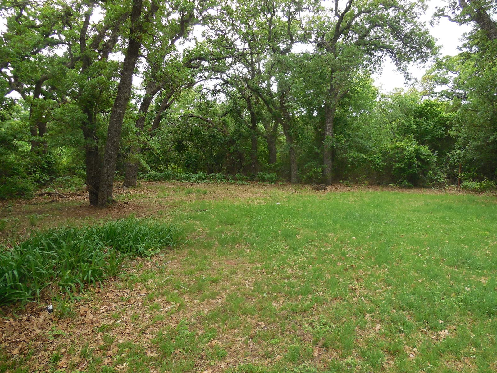 306 County Road 459 Ranger TX 76470