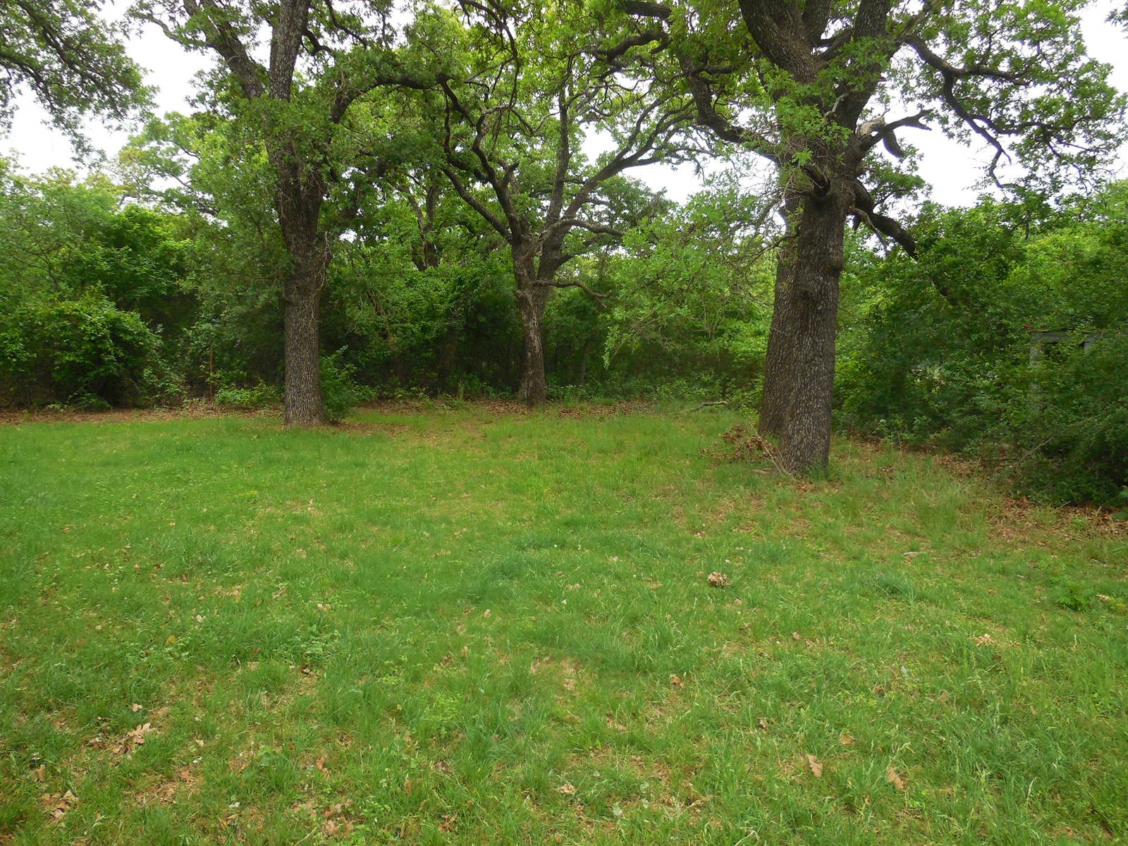 306 County Road 459 Ranger TX 76470
