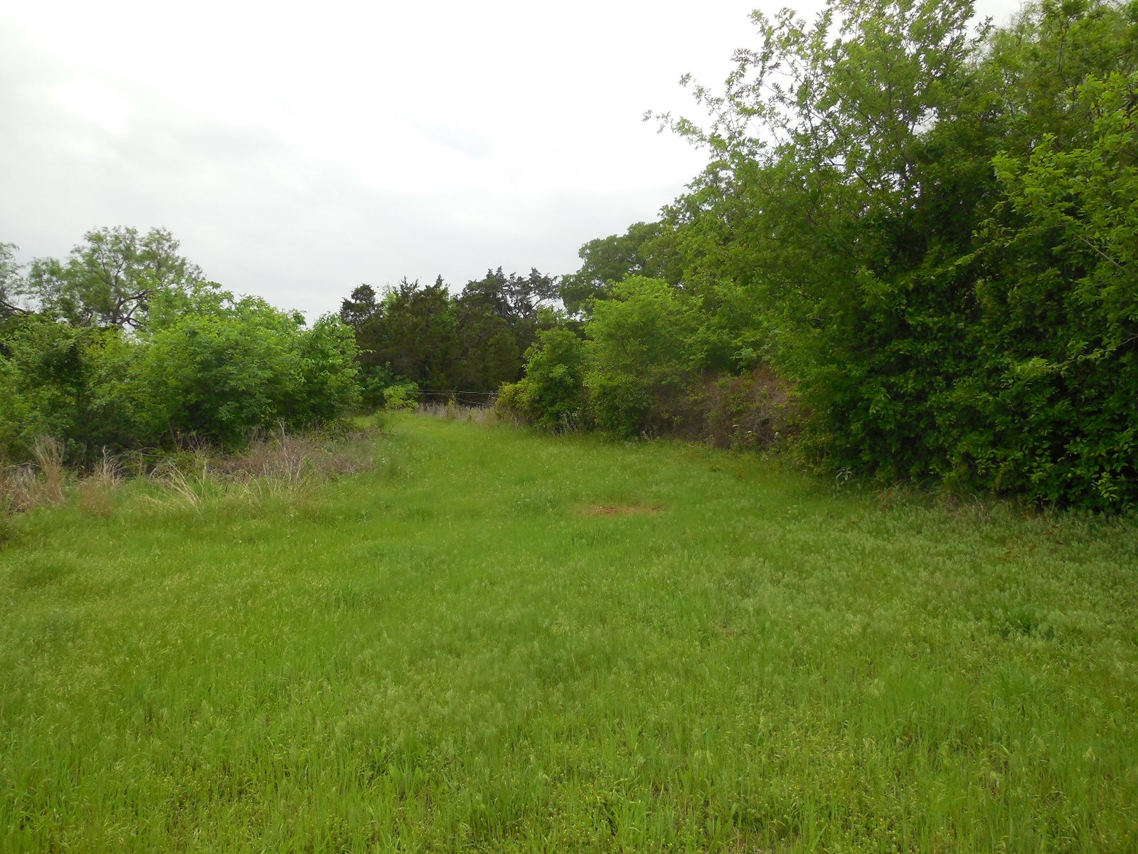 306 County Road 459 Ranger TX 76470