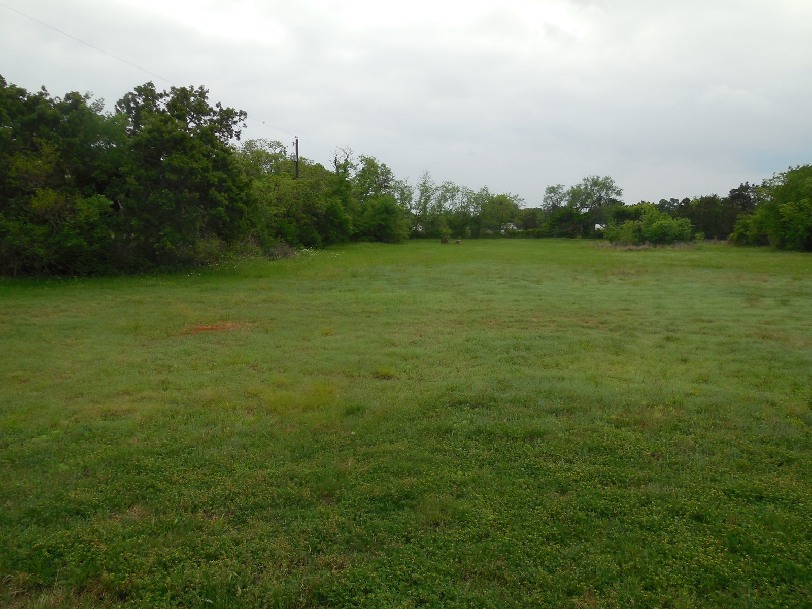 306 County Road 459 Ranger TX 76470