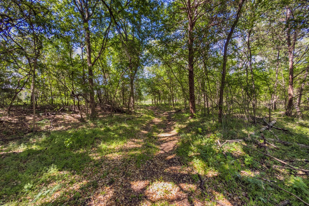 120 County Road 3646 Clifton TX 76634