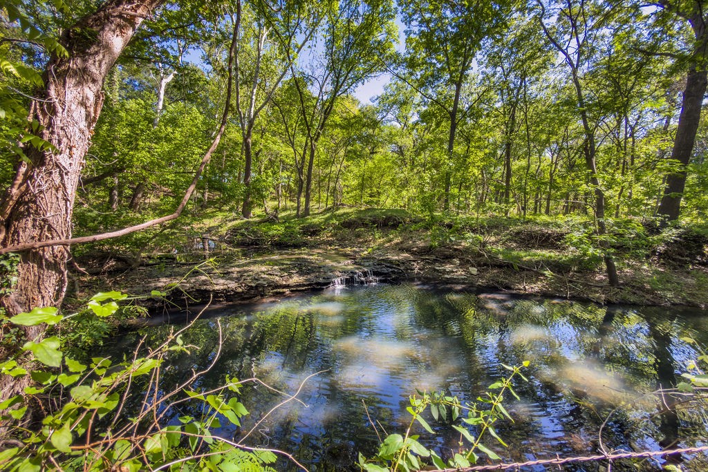 120 County Road 3646 Clifton TX 76634