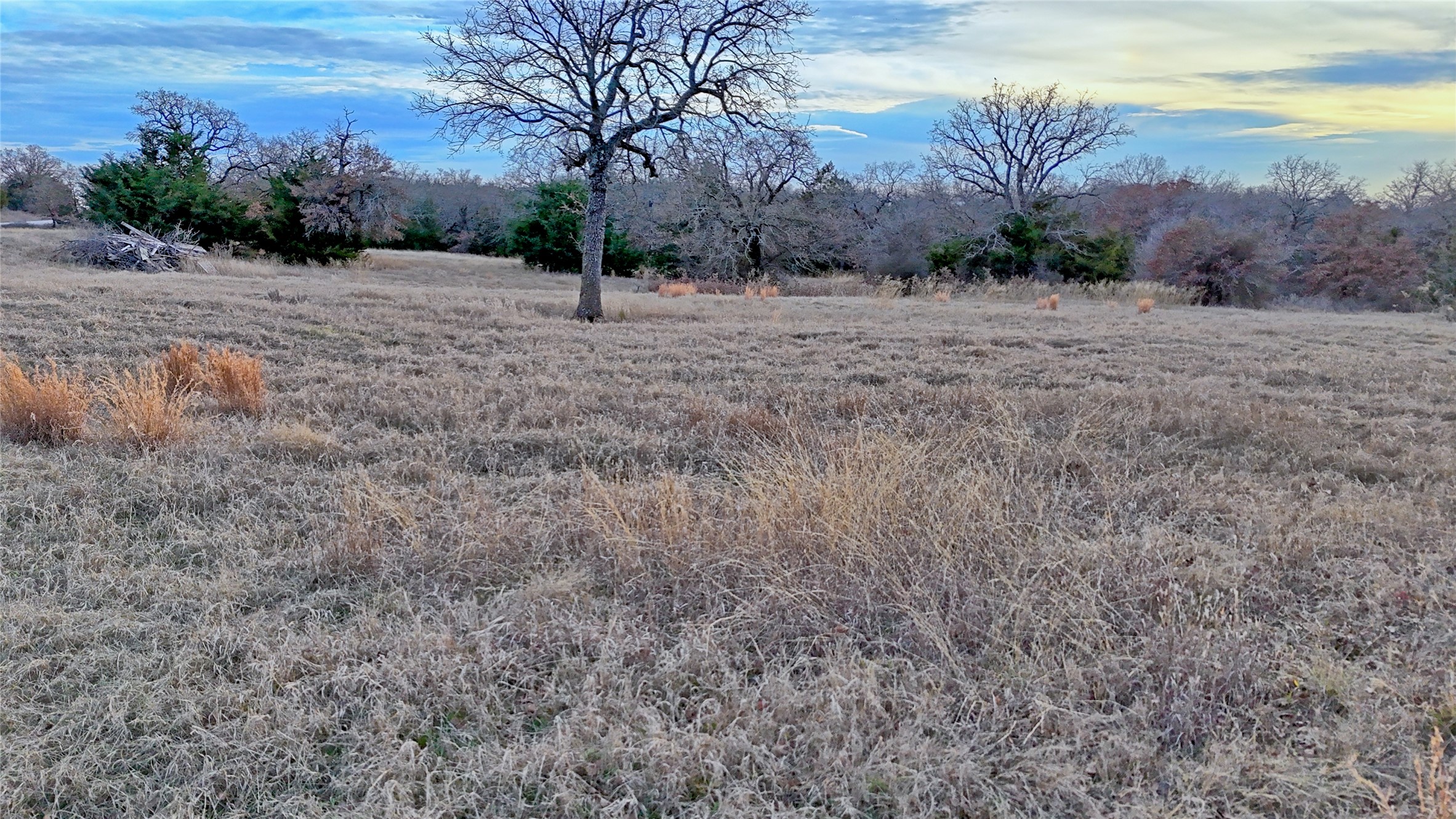 584 W Alamo Road Bowie TX 76230