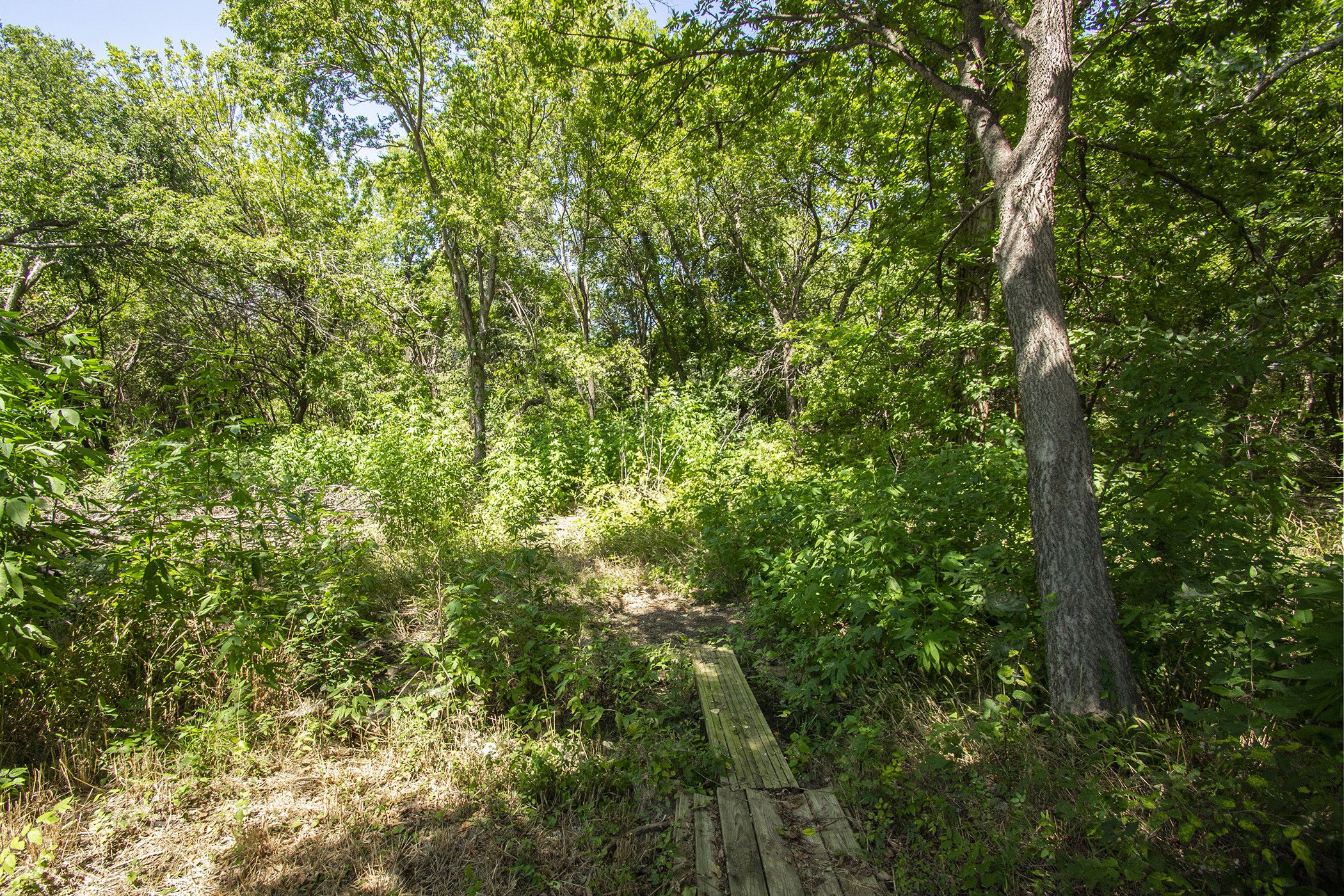 517 Longshore Drive Little Elm TX 75068