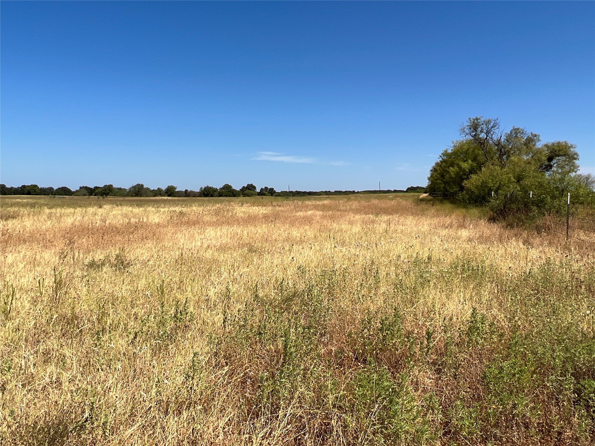 1410 County Road 239 Rising Star TX 76471