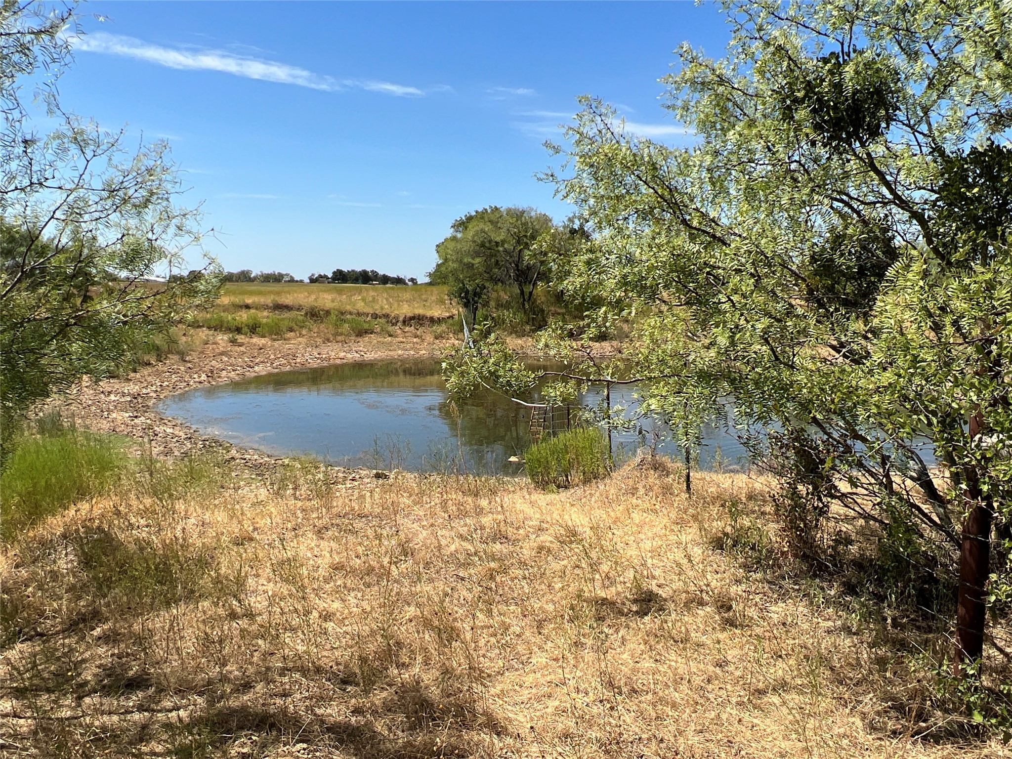 1410 County Road 239 Rising Star TX 76471