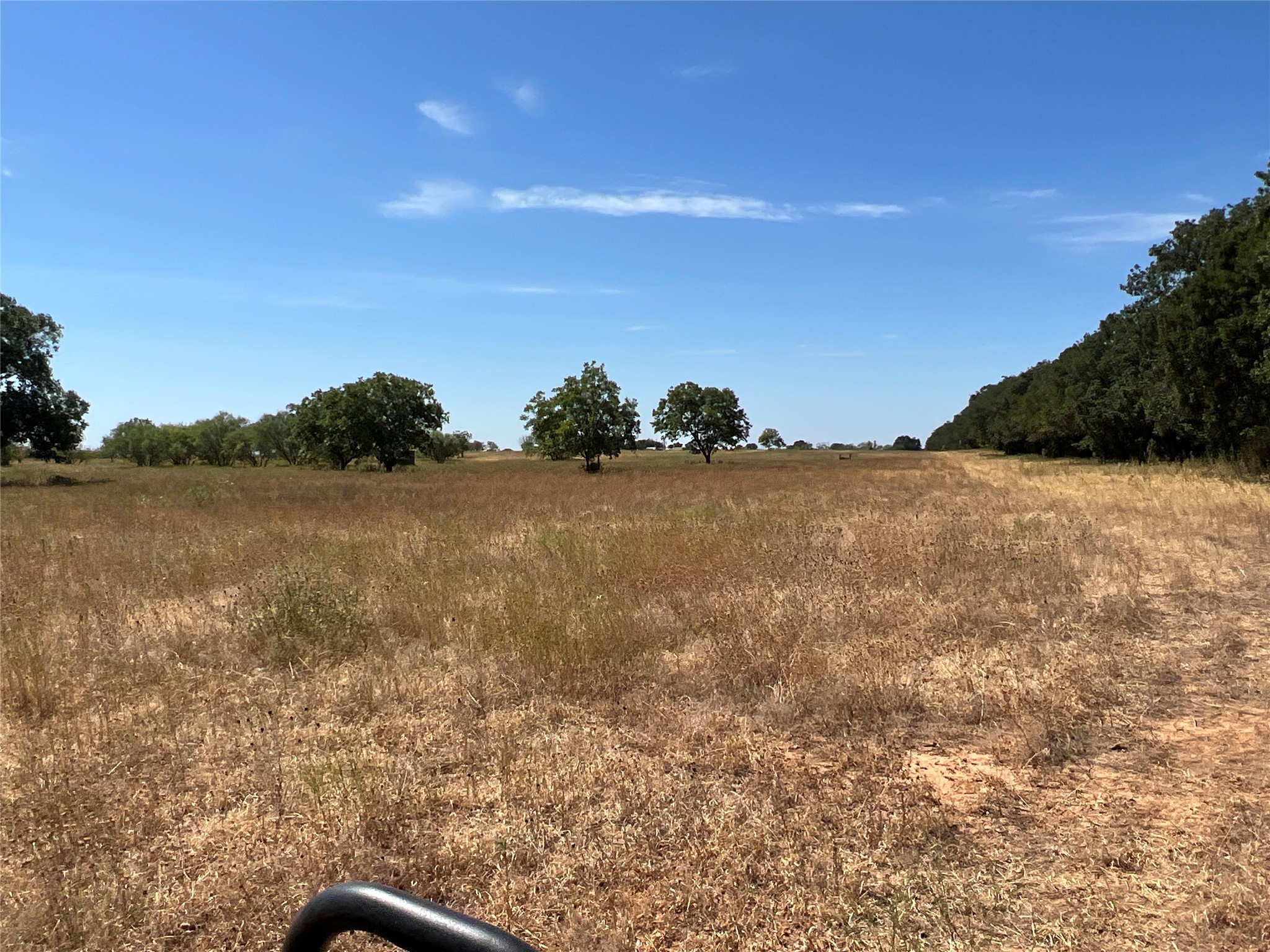 1410 County Road 239 Rising Star TX 76471