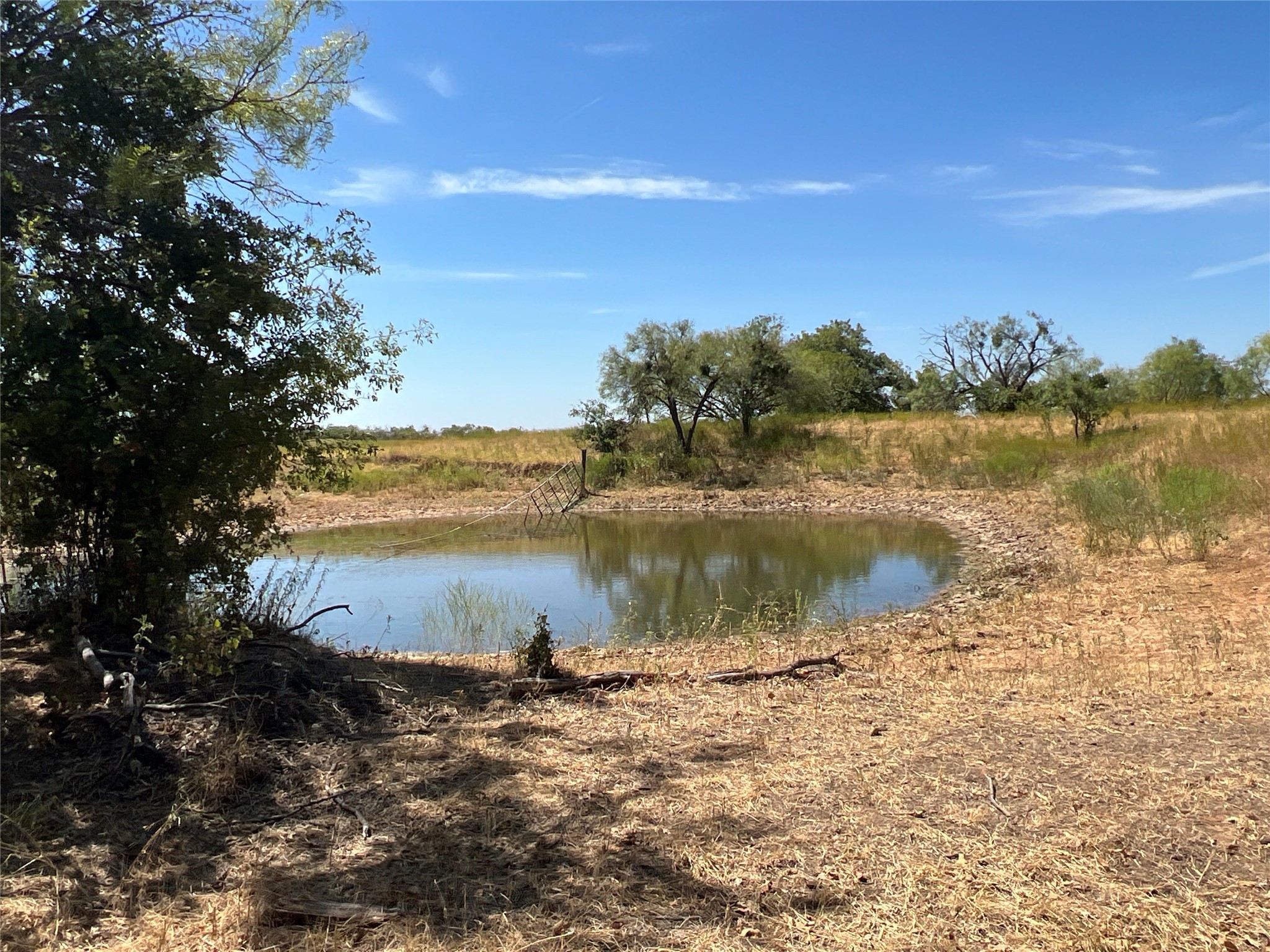 1410 County Road 239 Rising Star TX 76471