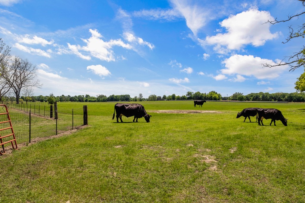 290 Vz County Road 3222 Wills Point TX 75169
