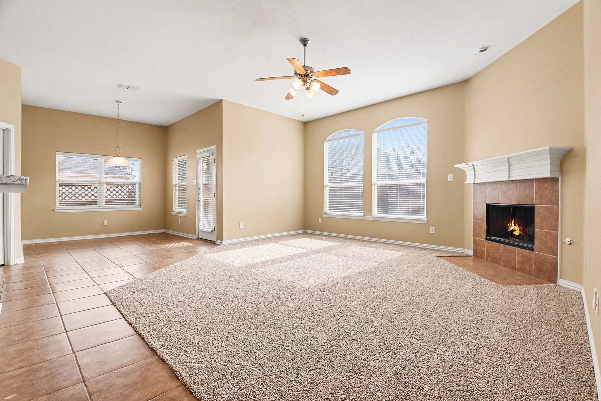 3451 Oakleigh Lane Frisco TX 75033