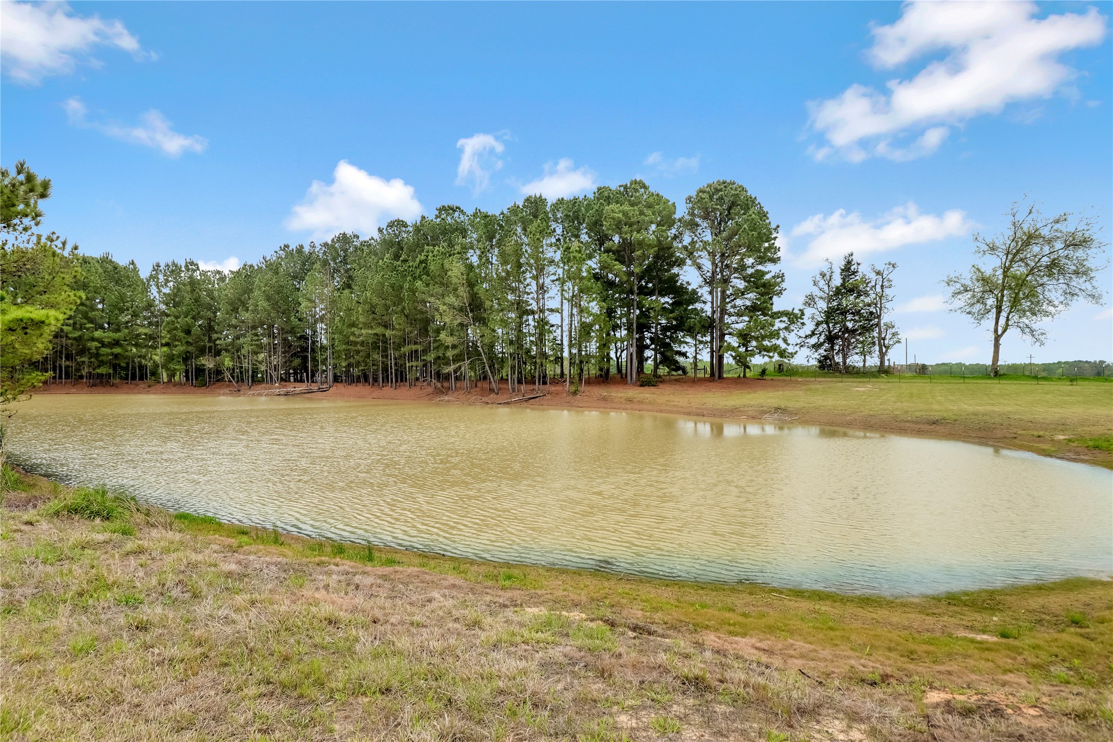 1215 Cr4165 Quitman TX 75783