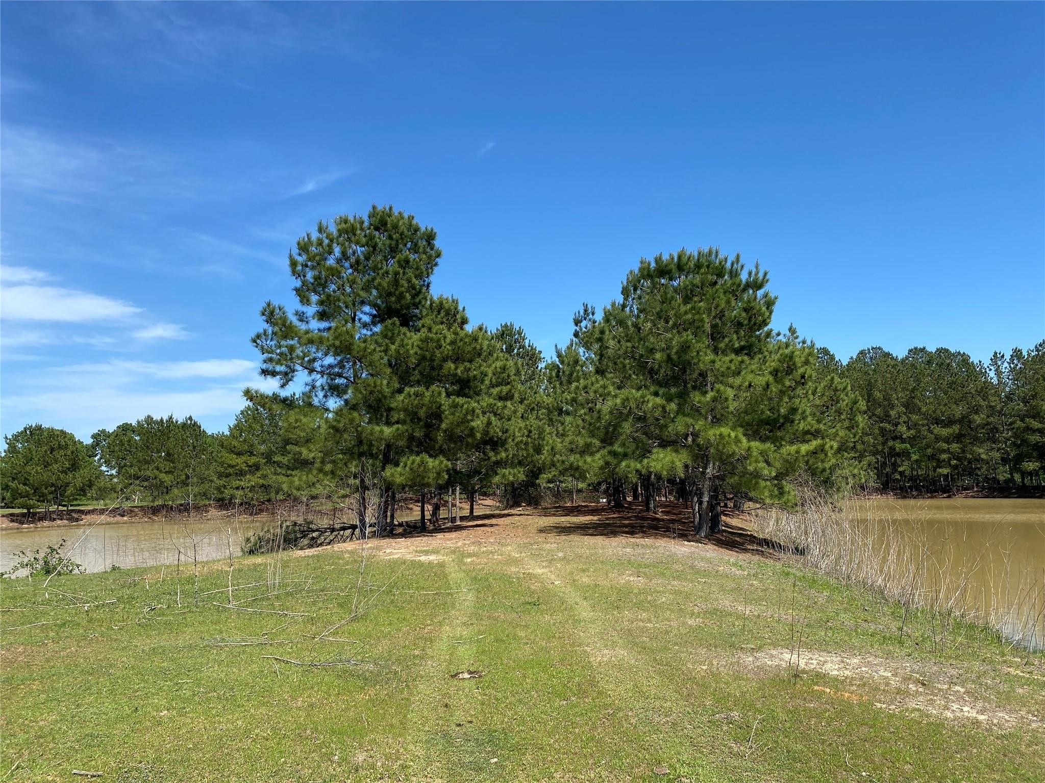 1215 Cr4165 Quitman TX 75783
