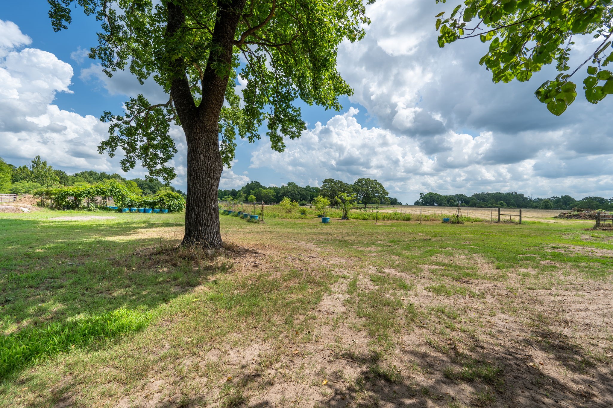 2715 Fm 857 Grand Saline TX 75140