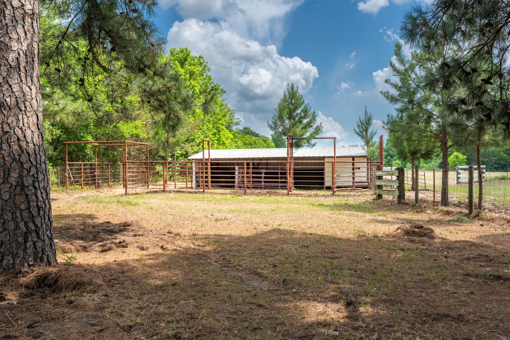 2715 Fm 857 Grand Saline TX 75140