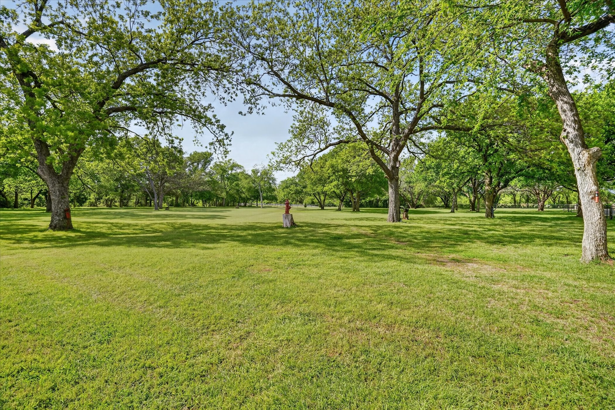 1290 Fox Lane Burleson TX 76028
