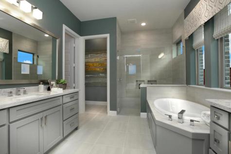 244 Bee Balm Road Mckinney TX 75071