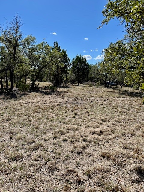 335 Gant Road Dripping Springs TX 78620