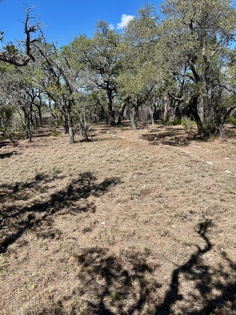335 Gant Road Dripping Springs TX 78620