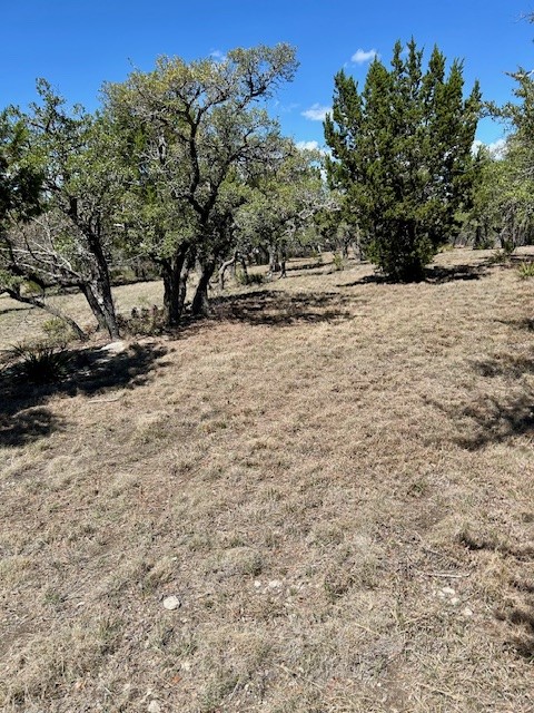 335 Gant Road Dripping Springs TX 78620