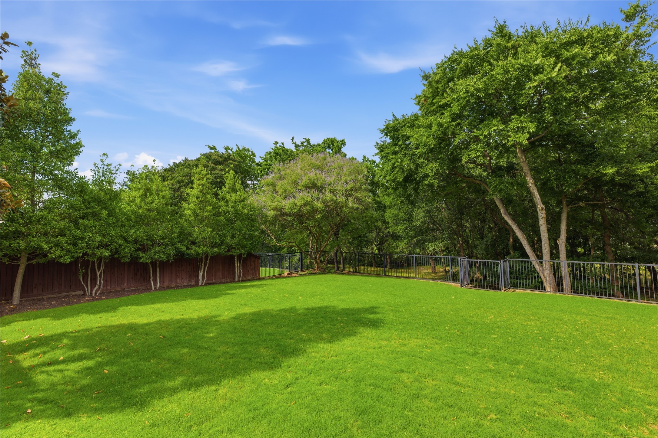 6002 Dripping Springs Drive Frisco TX 75034
